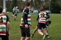 Stockport U16 Force v Lymm (H) 141110