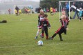 U6's Tournament 19-6-11