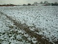 Can't even get a line down