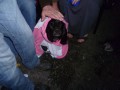 Masham Beer Festival 2011