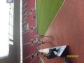 Saints Run a Mile at SMS 2011