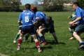 Toddy's V Birstall 2nd 2011
