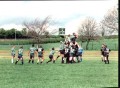 Old Dogs 2001