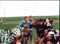 Old Dogs 2001