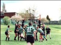 Old Dogs 2001