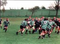 Old Dogs 2001
