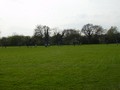 Premier Cup Semi Final 18 Apr 2009