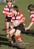 U9 v Atherstone @ CRFC 2010-11-13