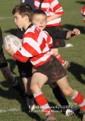 U9 v Atherstone @ CRFC 2010-11-13