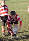 U9 v Atherstone @ CRFC 2010-11-13