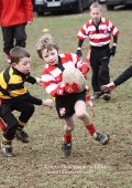 U8 v Hinckley RFC - 30th Jan 11