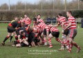 1st XV v Cheltenham North RFC - 26th Feb 2011