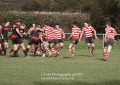 1st XV v Cheltenham North RFC - 26th Feb 2011