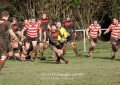 1st XV v Cheltenham North RFC - 26th Feb 2011