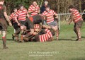 1st XV v Cheltenham North RFC - 26th Feb 2011