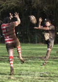 1st XV v Cheltenham North RFC - 26th Feb 2011