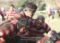 1st XV v Cheltenham North RFC - 26th Feb 2011