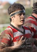 1st XV v Cheltenham North RFC - 26th Feb 2011