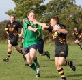 V's North Dorset