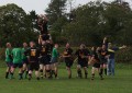 V's North Dorset