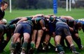 Newton v West Park Warriors