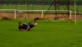 Newton v West Park Warriors