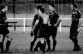 Newton v West Park Warriors