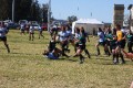 Jaime Ogilvie offloads to Maygen Boller to set her up for the Whales first try